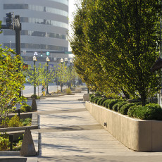 Downtown Sustainable Streetscape Revitalization – Lexington, KY