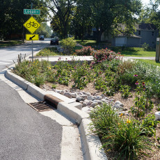 Green Infrastructure for CSO Control – City of Aurora, IL
