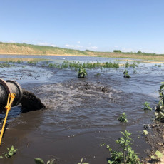 Dorn Creek Legacy Phosphorus Removal – Dane County, WI