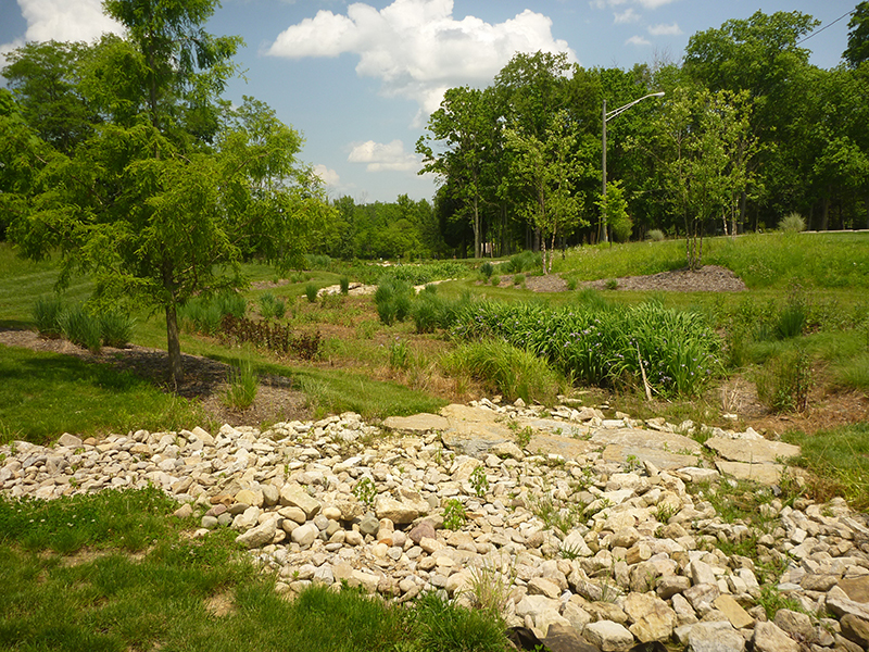 Green-Infrastructure-Design-for-Wetlands-Reclamation-–-University-of-Cincinnati