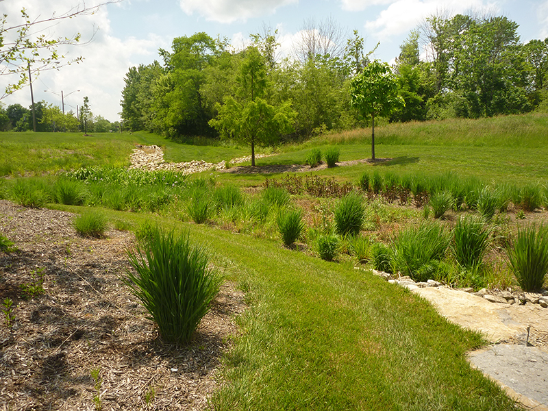Green-Infrastructure-Design-for-Wetlands-Reclamation-–-University-of-Cincinnati
