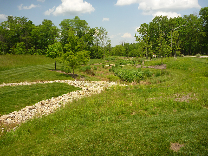 Green-Infrastructure-Design-for-Wetlands-Reclamation-–-University-of-Cincinnati