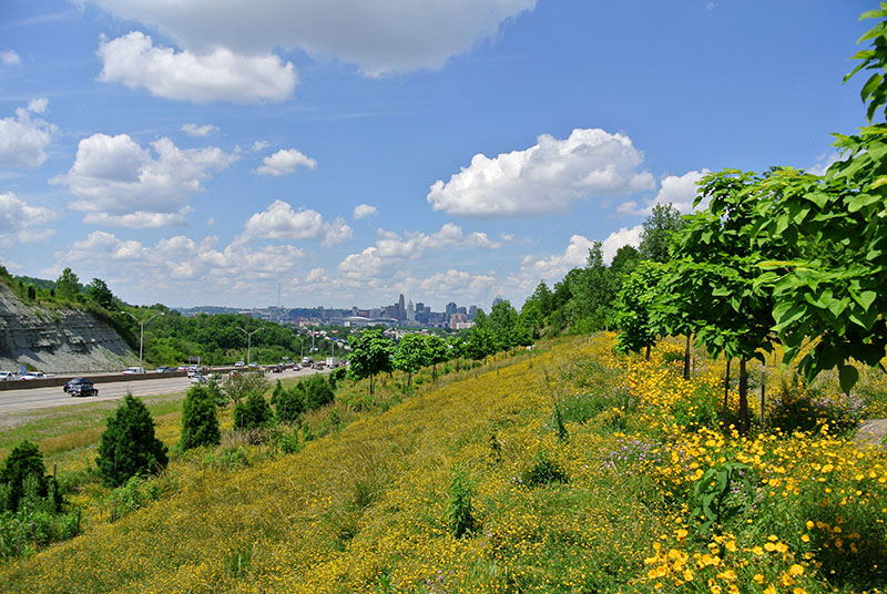 Terraced-Reforestation-of-Interstate-ROW-Covington