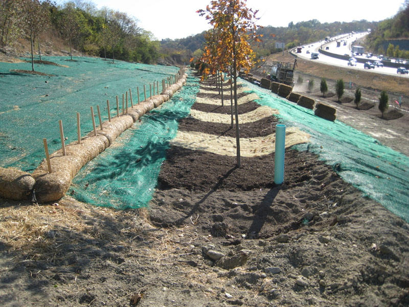 Terraced-Reforestation-of-Interstate-ROW-Covington