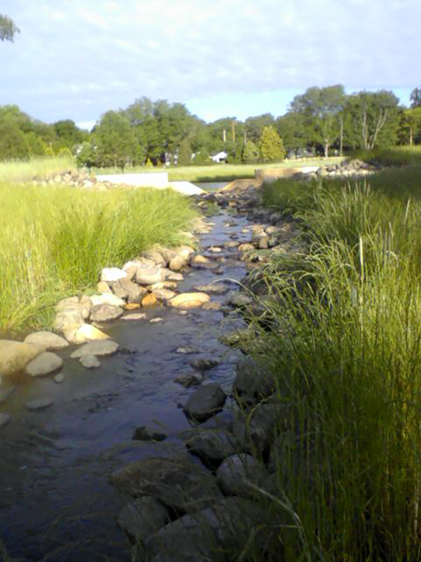 Urban-Stormwater-Runoff-Pollution-Control-System-Restoration-–-Madison-WI