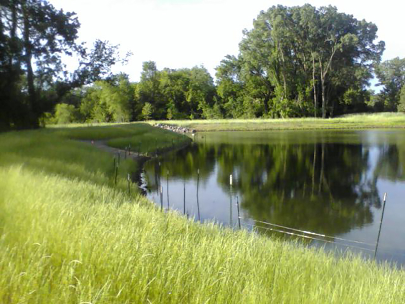 Urban-Stormwater-Runoff-Pollution-Control-System-Restoration-–-Madison-WI