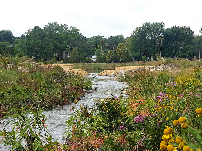 Urban-Stormwater-Runoff-Pollution-Control-System-Restoration-–-Madison-WI