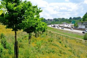 Green space next to highway